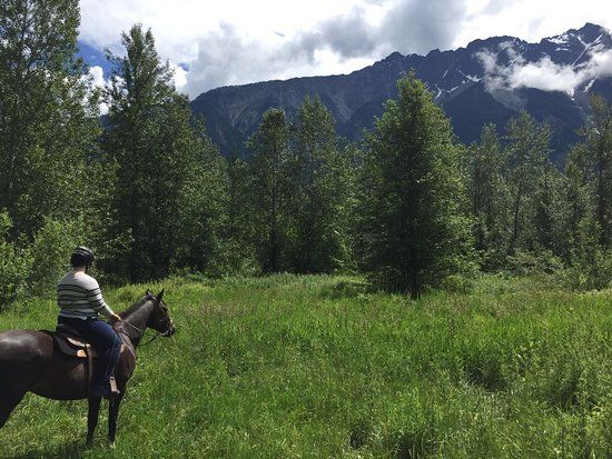 Adventure on Horseback